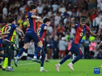 关于足球联赛重燃热情，顶尖球队争夺胜利桂冠的信息