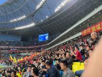 世界足球盛事开幕仪式璀璨绚烂，球迷狂热欢呼的简单介绍