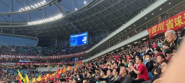 世界足球盛事开幕仪式璀璨绚烂，球迷狂热欢呼的简单介绍